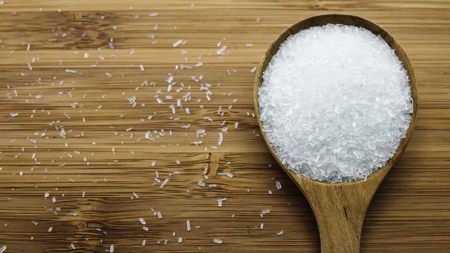 خرید مونو سدیم گلوتامات خرید مونو سدیم گلوتامات