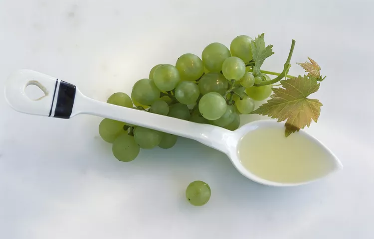 خرید روغن گیاهی